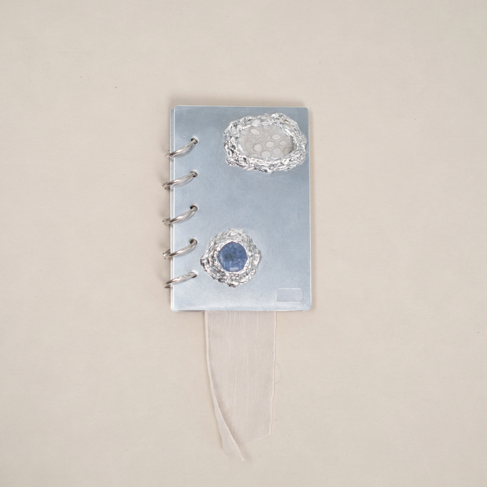 Lisse Notebook 009