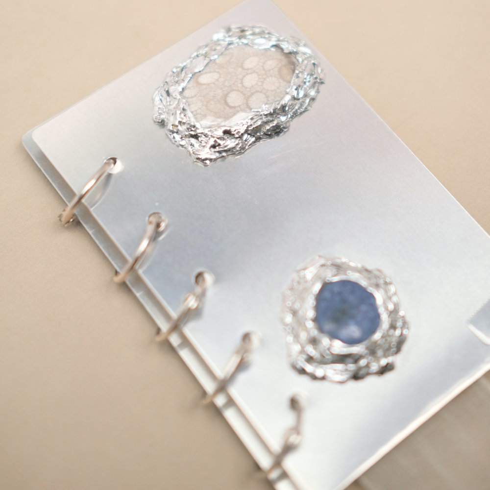 Lisse Notebook 009