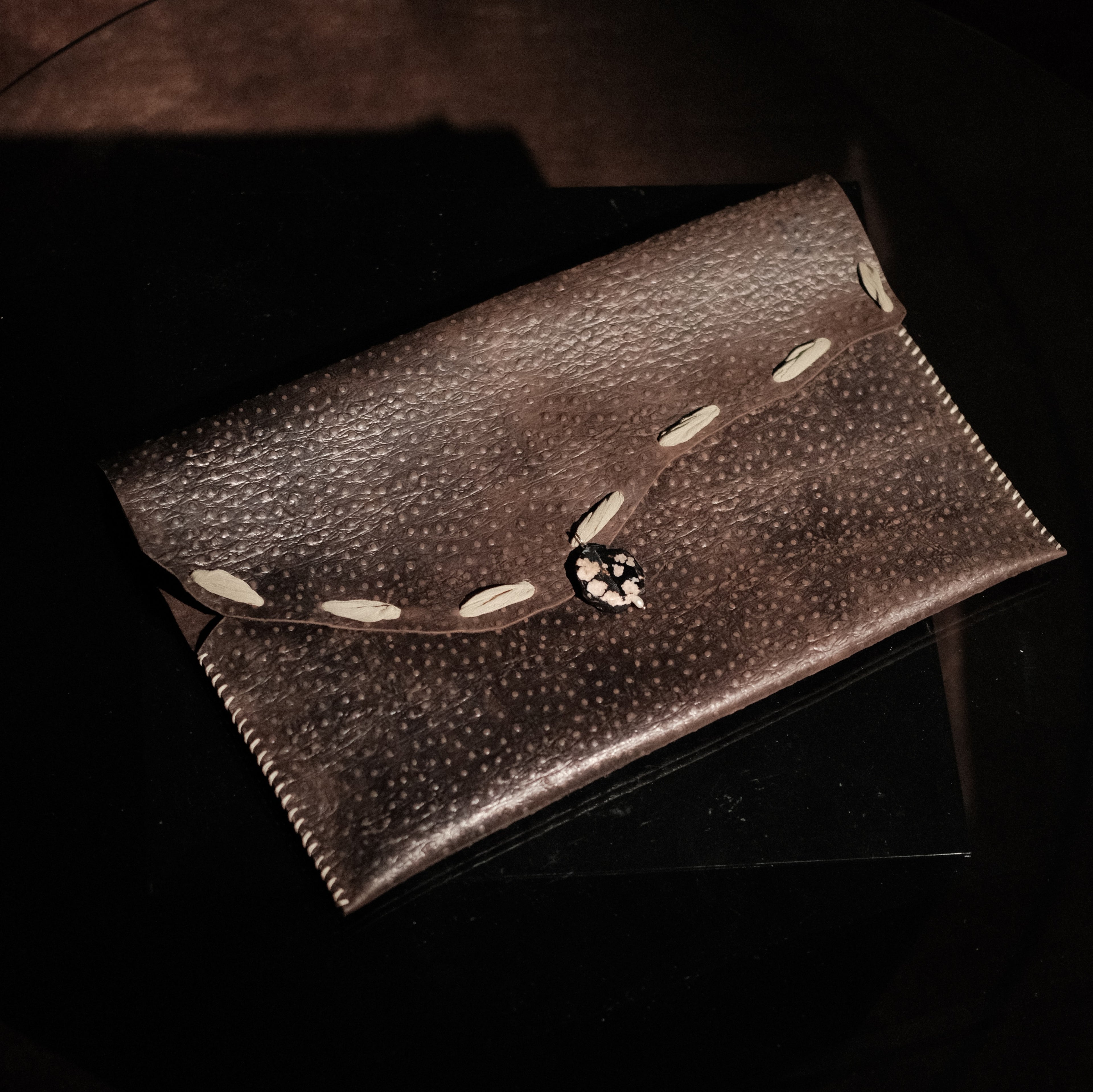Oiseau Brun Laptop Case / Clutch