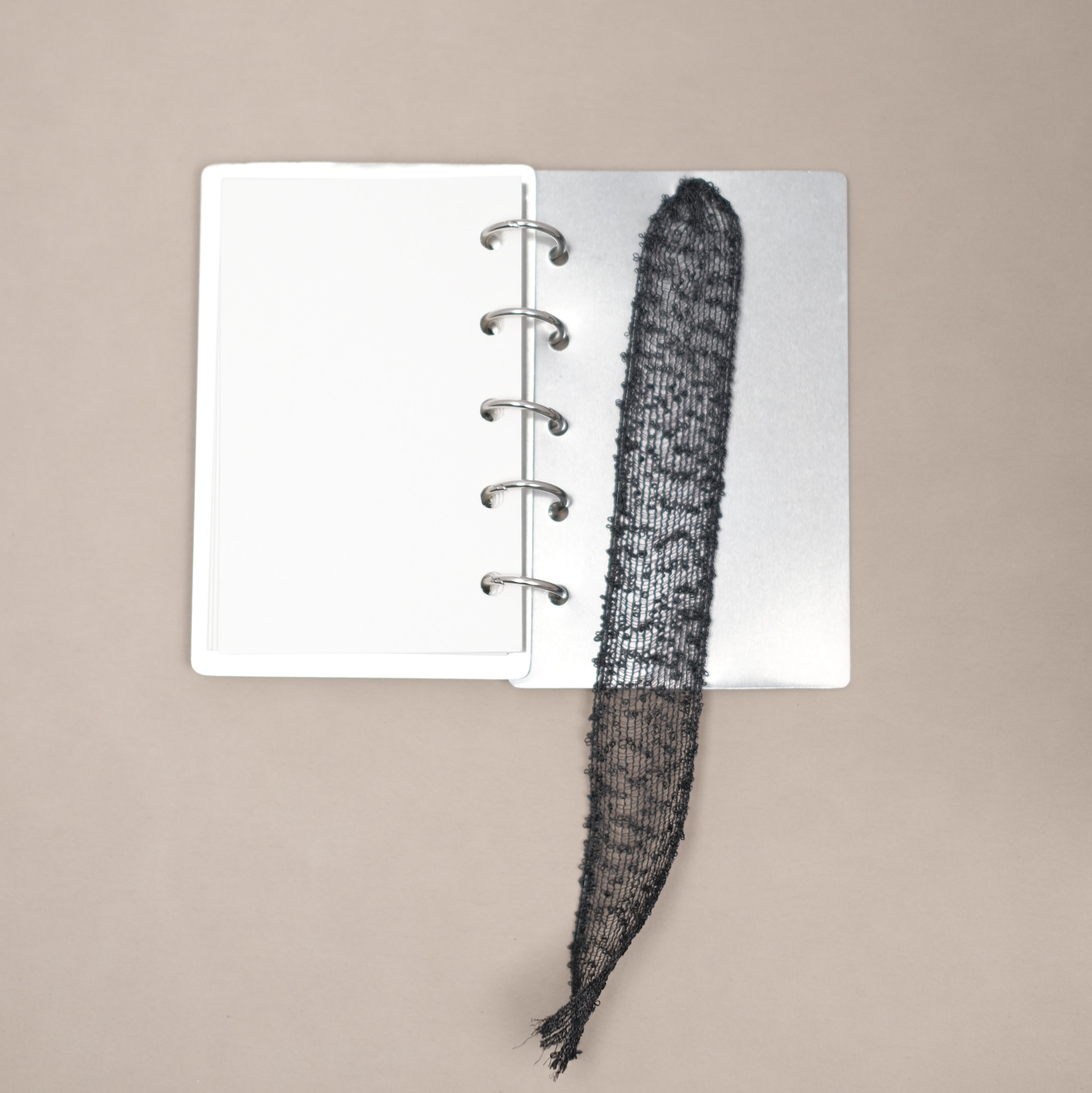 Lisse Notebook 003