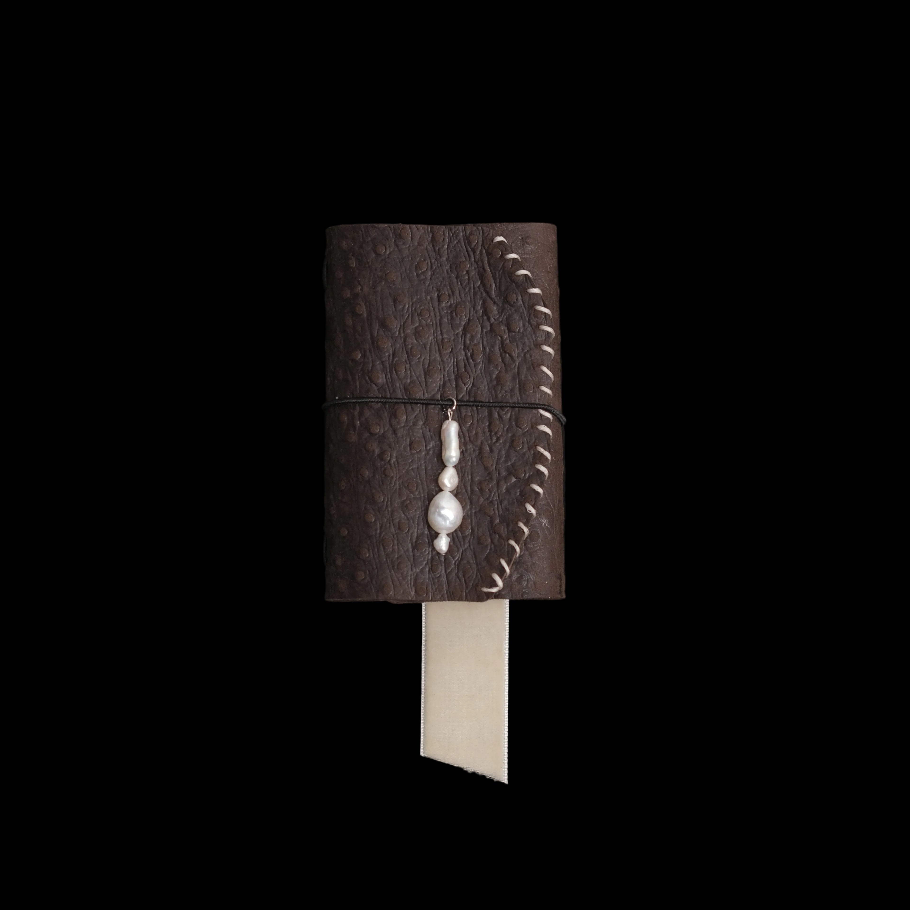 Oiseau Brun Journal 001