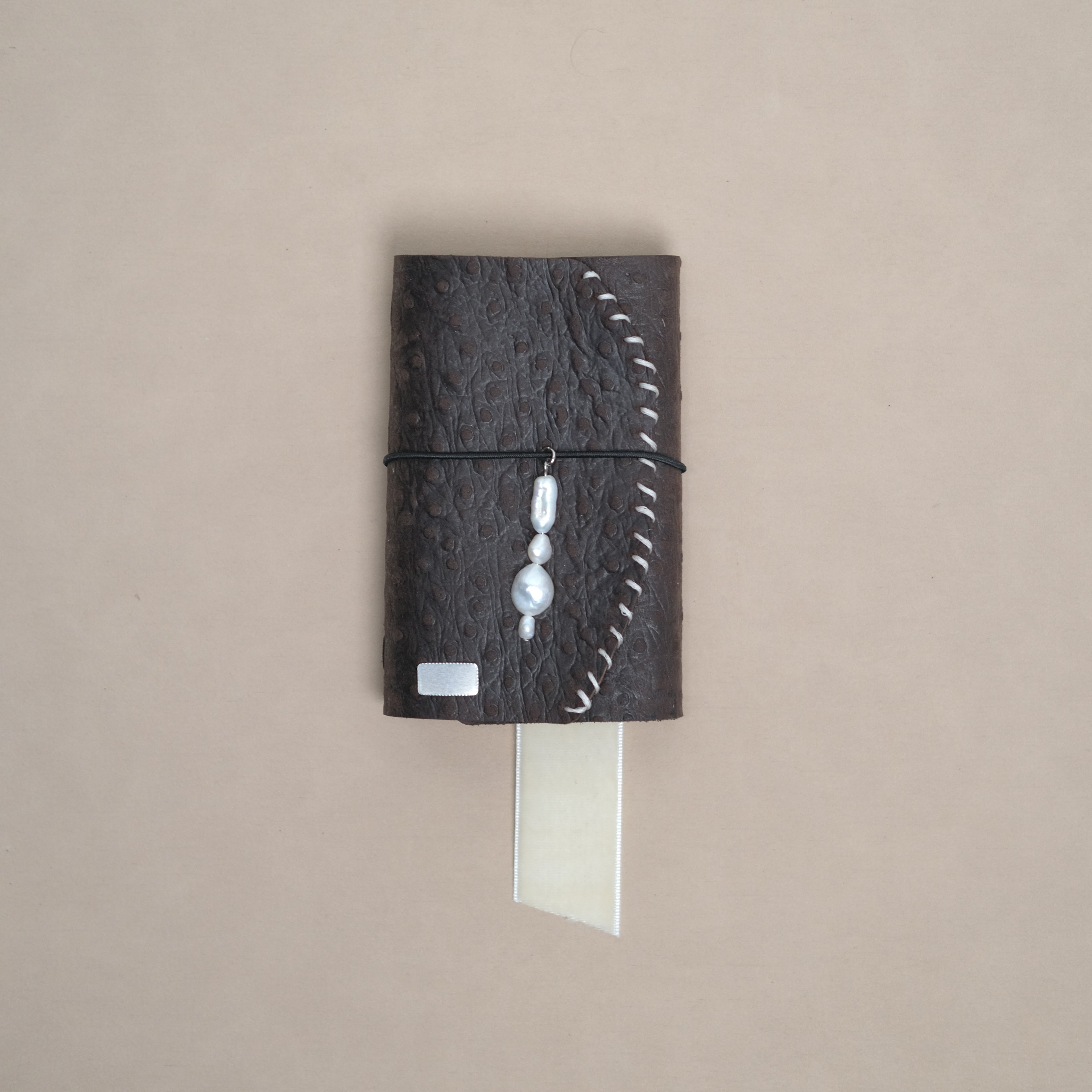 Oiseau Brun Journal 001