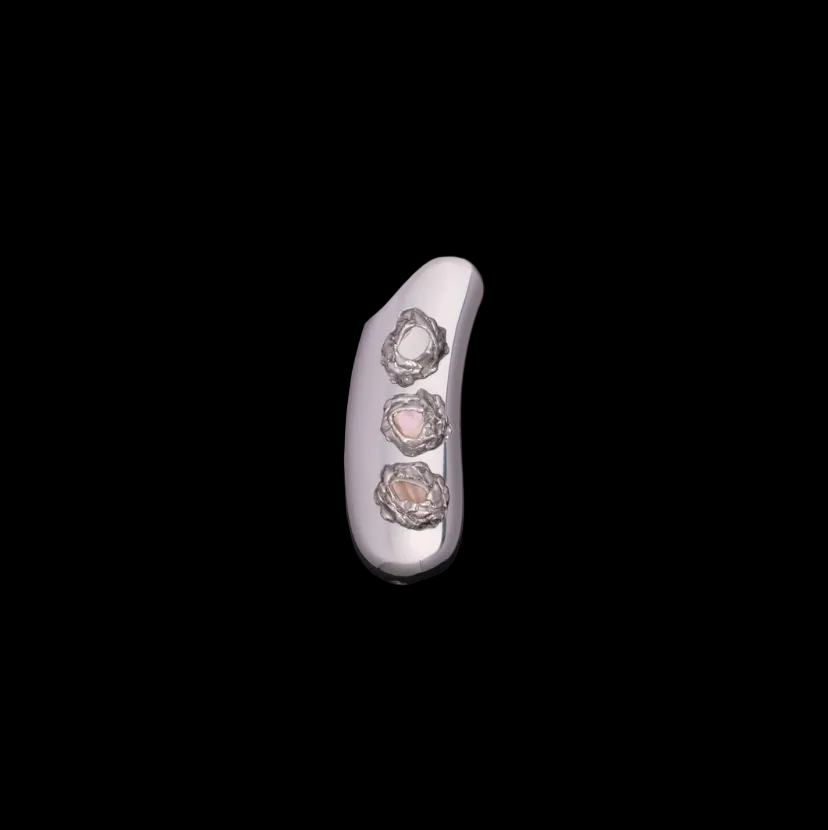 Perla Petit Lighter Case 002