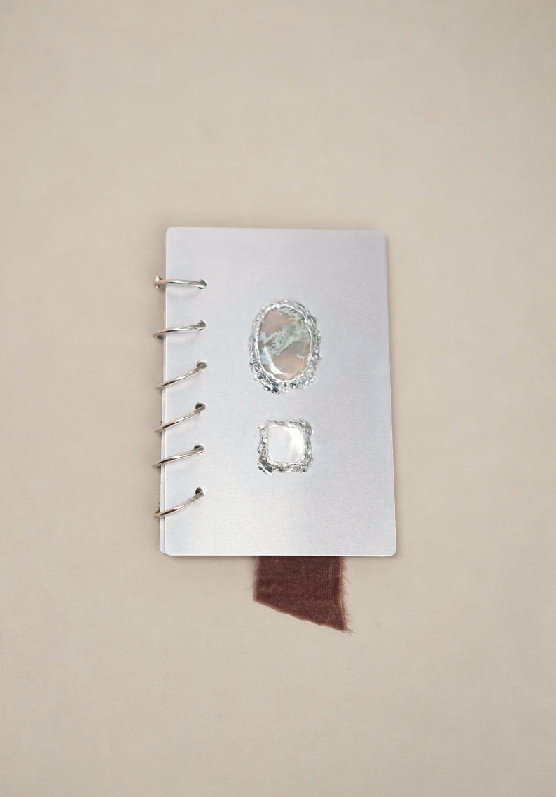 Lisse Notebook 017